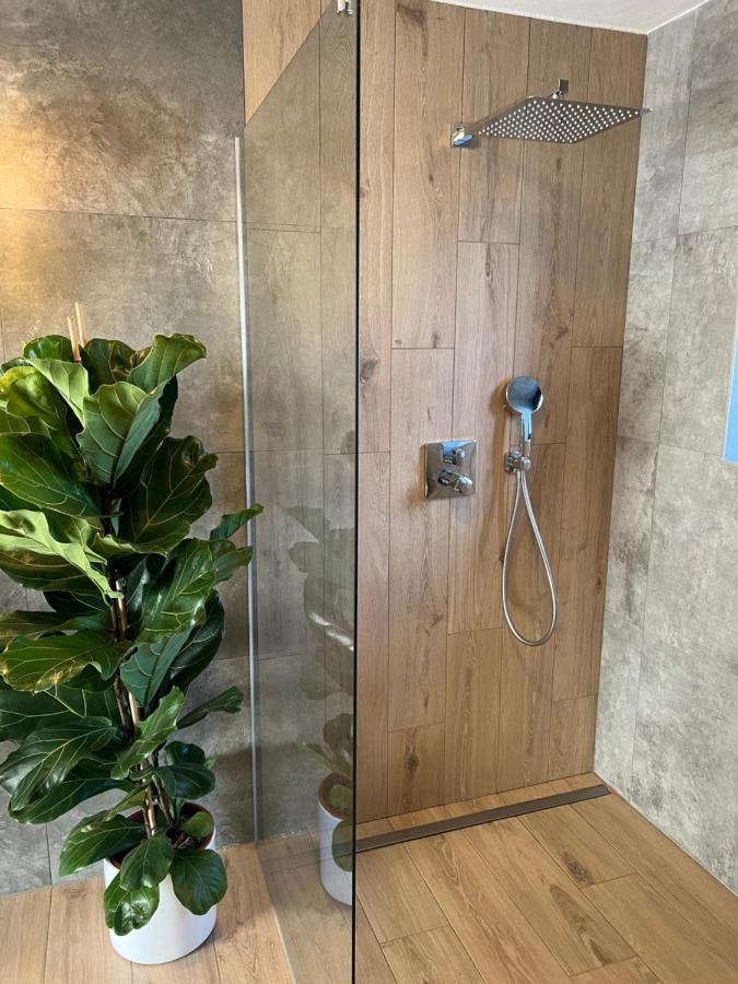 Vila Dvorecna Villa Loučovice Dış mekan fotoğraf