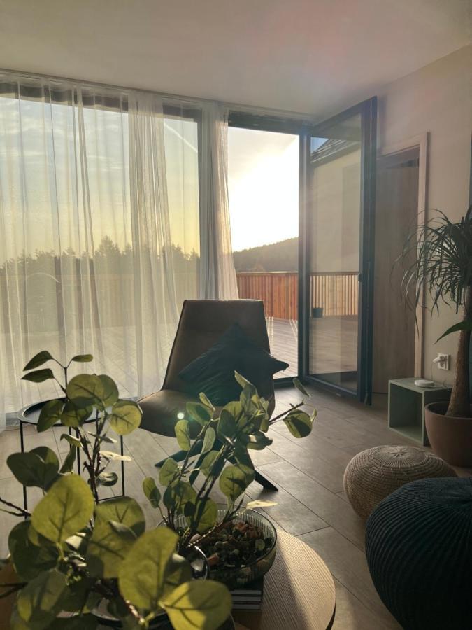 Vila Dvorecna Villa Loučovice Dış mekan fotoğraf