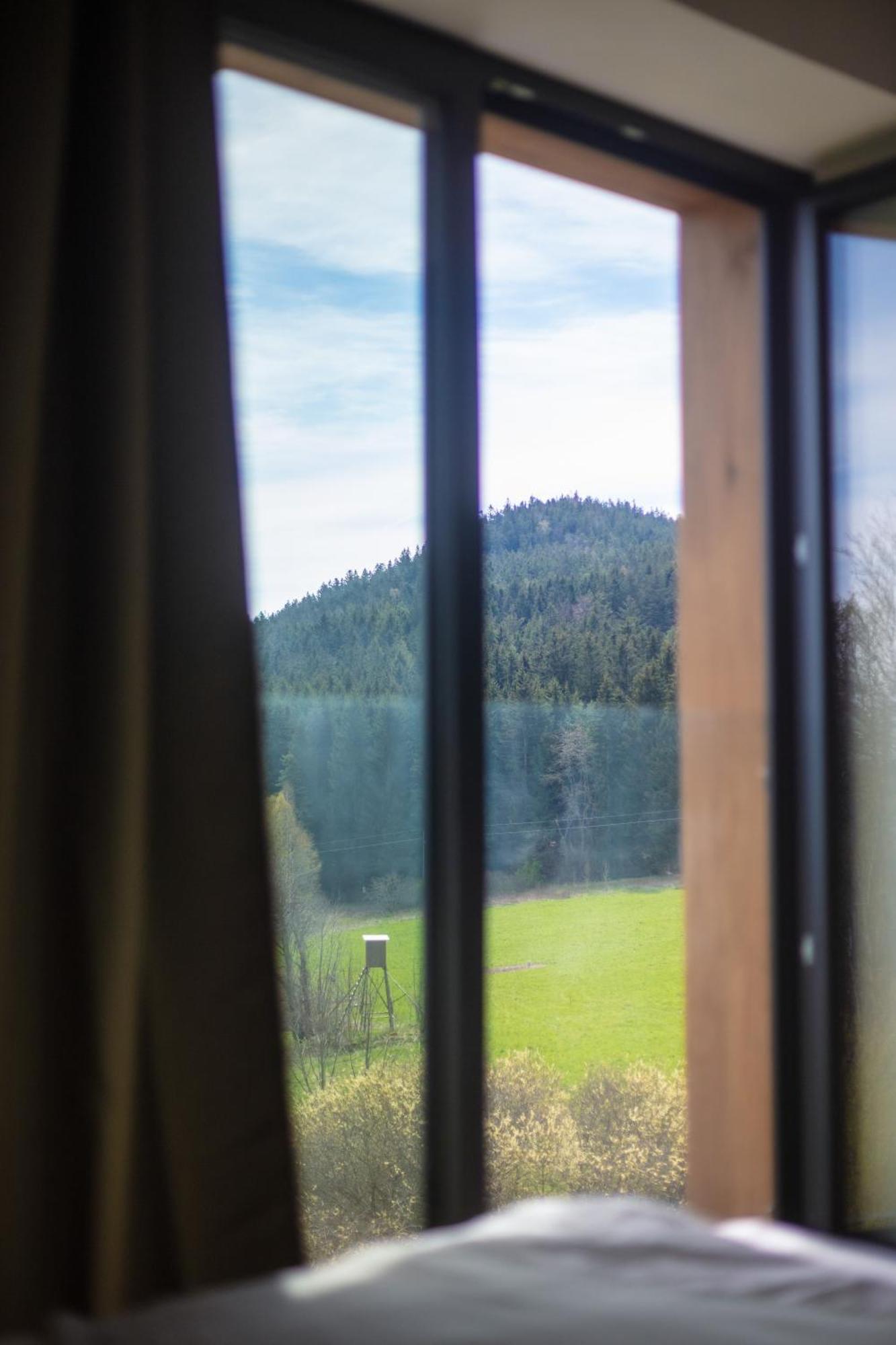 Vila Dvorecna Villa Loučovice Dış mekan fotoğraf