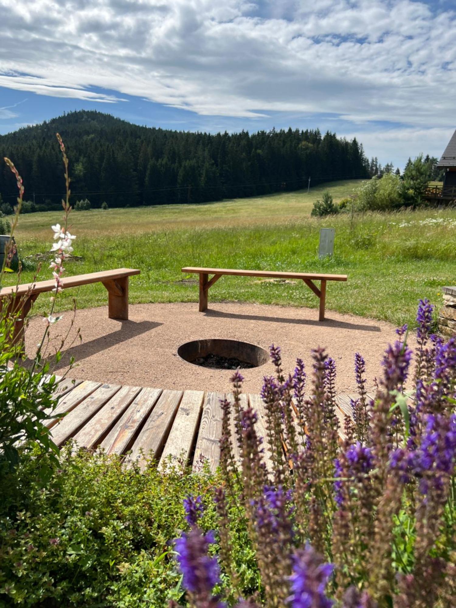 Vila Dvorecna Villa Loučovice Dış mekan fotoğraf