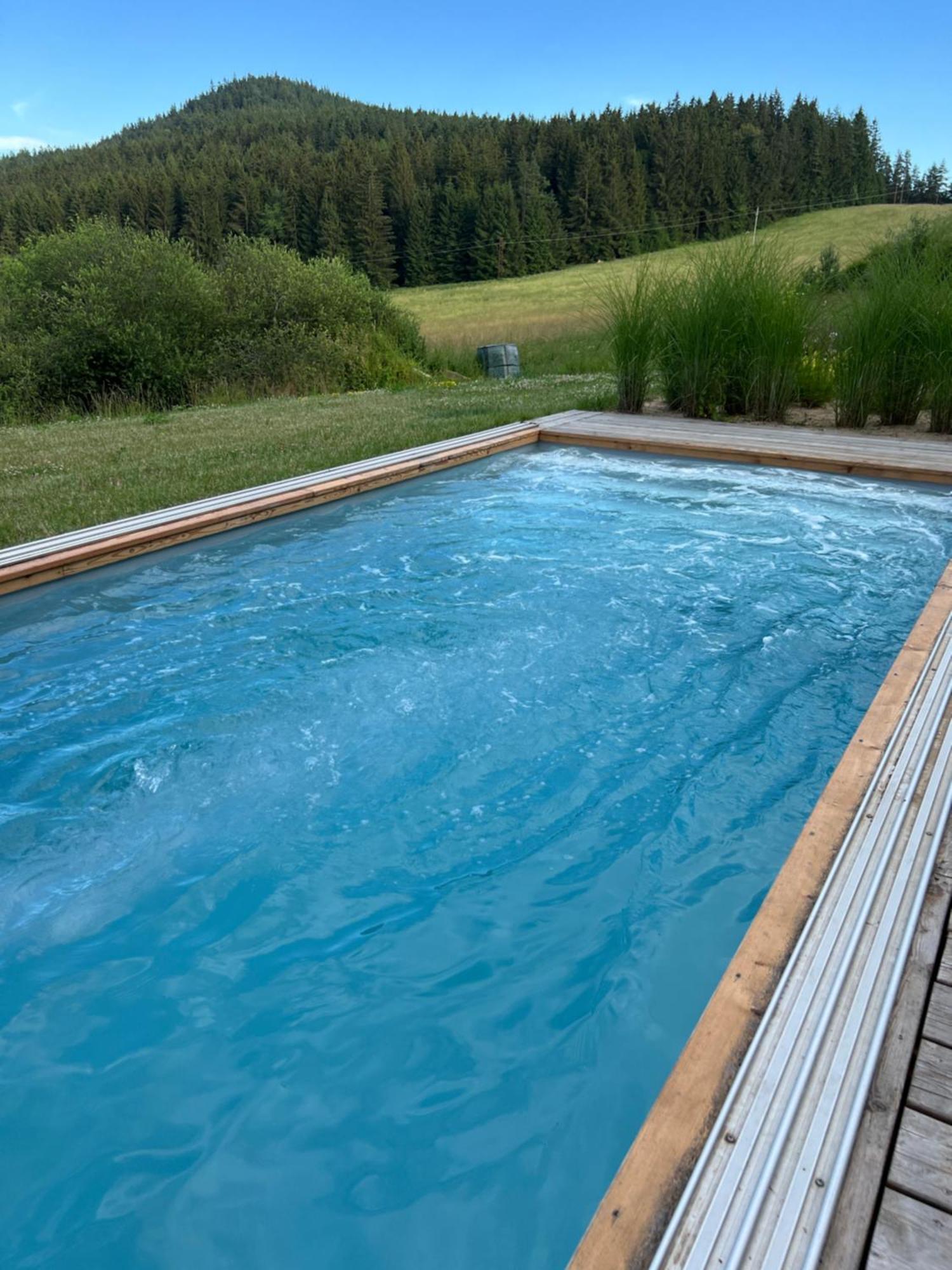 Vila Dvorecna Villa Loučovice Dış mekan fotoğraf
